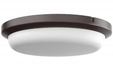 AFX Lighting, Inc. DEAW11LAJENBZ - Dean 11'' Outdoor LED Flush 20W 120V 3CCT BZ