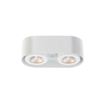 Eurofase Blue US 33617-015 - Nymark, 2LT LED Surface Mnt, Wht