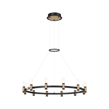 Eurofase Blue US 37043-018 - Albany, Chandelier, 12LT , LED, Blk