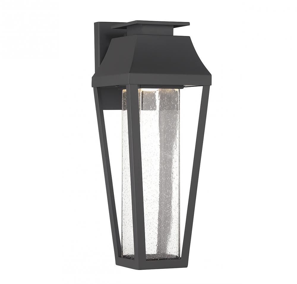 Brookline LED Outdoor Dark Sky Wall Lantern in Matte Black