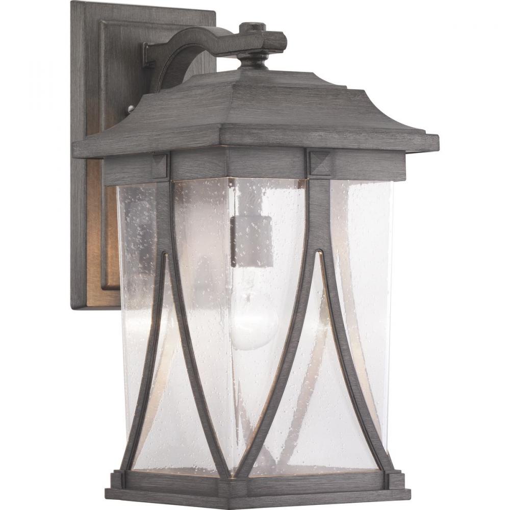 Abbott Collection One-Light Large Wall Lantern