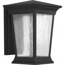 Progress P6068-3130K9 - Arrive Collection One-Light Medium Wall Lantern