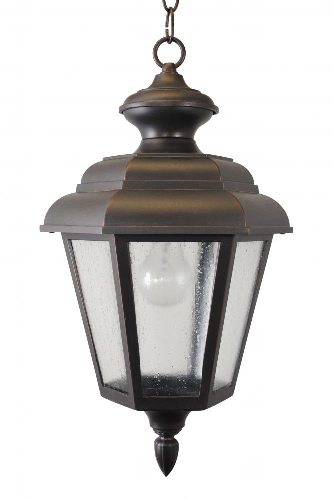 Avanti 1500 Series Hanging Model 1551 Medium Outdoor Wall Lantern