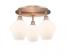 Innovations Lighting 516-3C-AC-G651-8 - Cindyrella - 3 Light - 20 inch - Antique Copper - Flush Mount