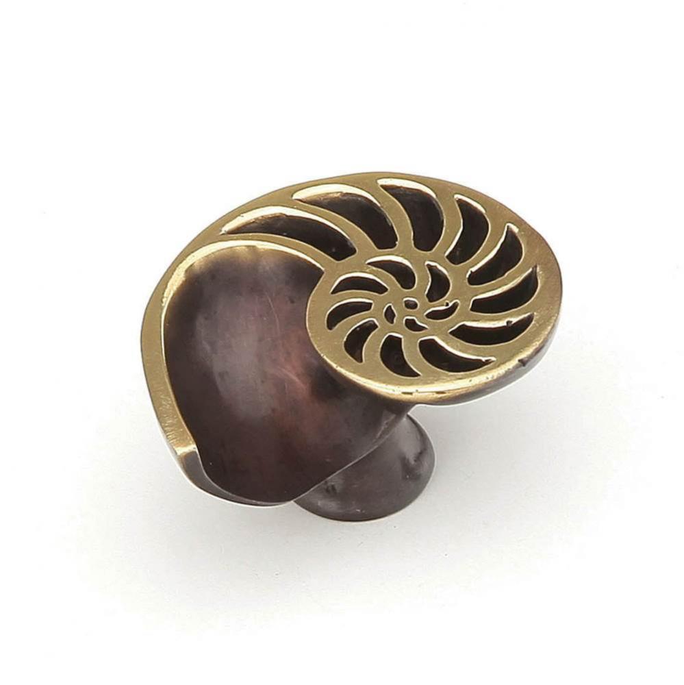 Nature,Sea Shell Knob,Right Hand,Dark Bronze, 1-1/2'' Dia,