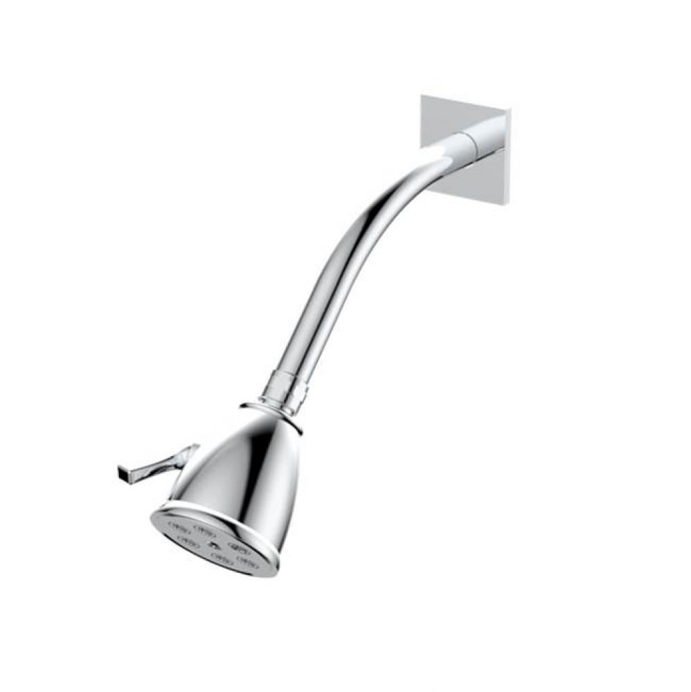 Standard 6 Port Showerhead with Arm and Flange