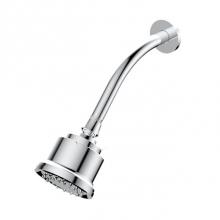 Santec 70231021 - Multifunction Cylindrical Showerhead with Arm and Flange