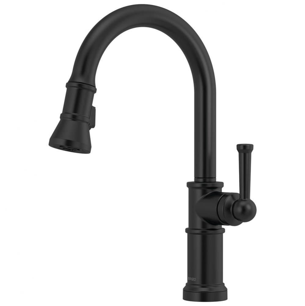 Artesso® Single Handle Pull-Down Kitchen Faucet