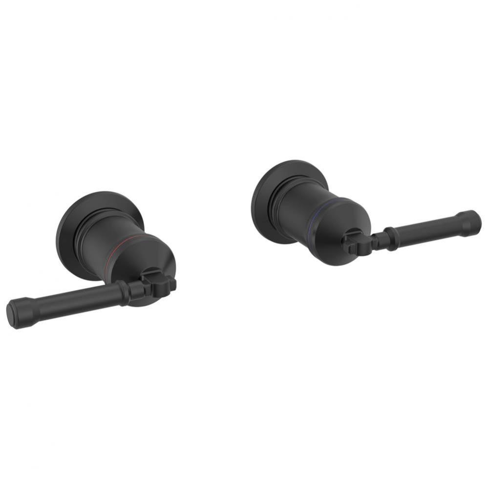 Broderick™ Wall Mount Tub Filler Handle Kit-Lever