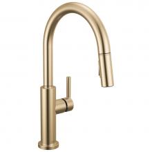 Delta Faucet 19867LF-CZ - Nicoli™ Single Handle Pull-Down Kitchen Faucet