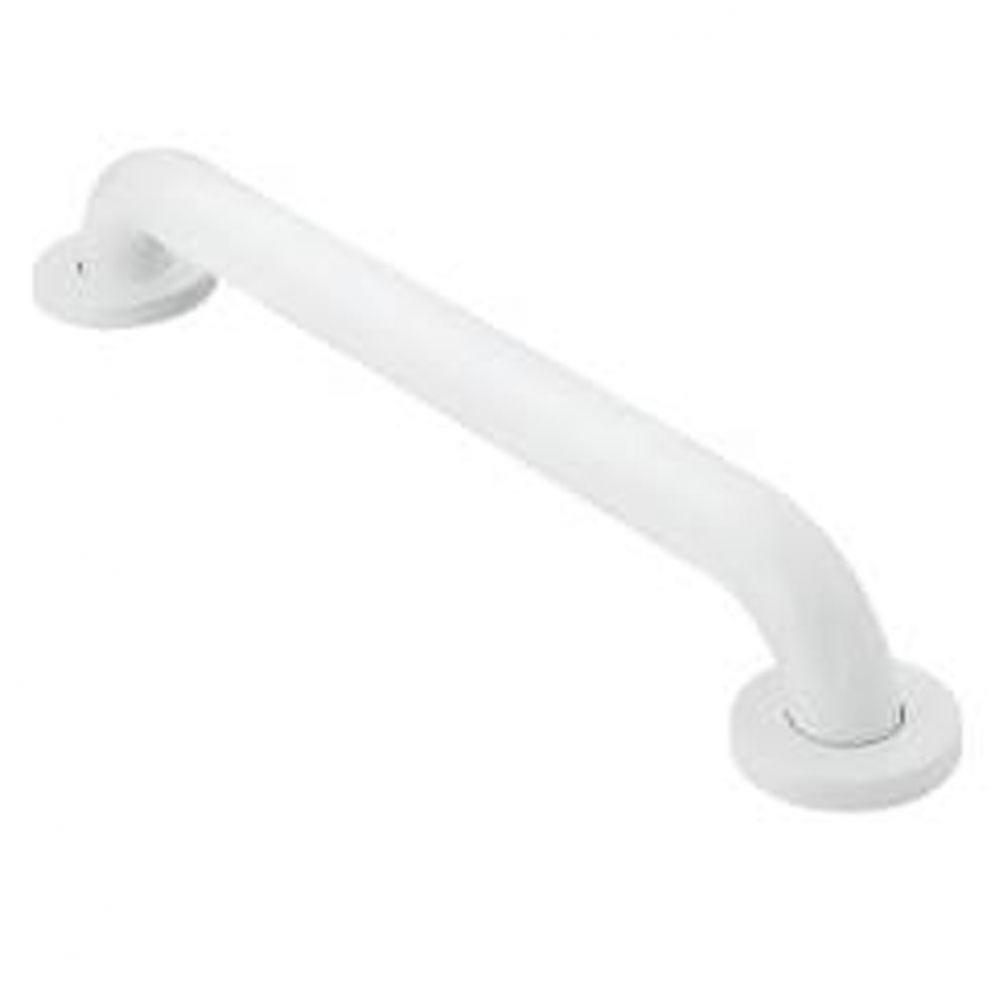 Glacier 42'' Concealed Screw Grab Bar