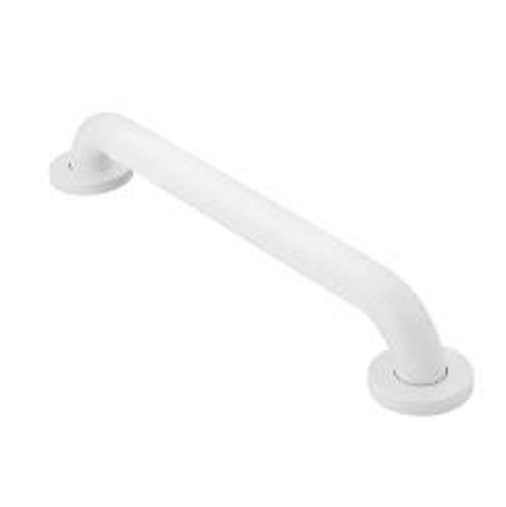 Glacier 24'' Concealed Screw Grab Bar