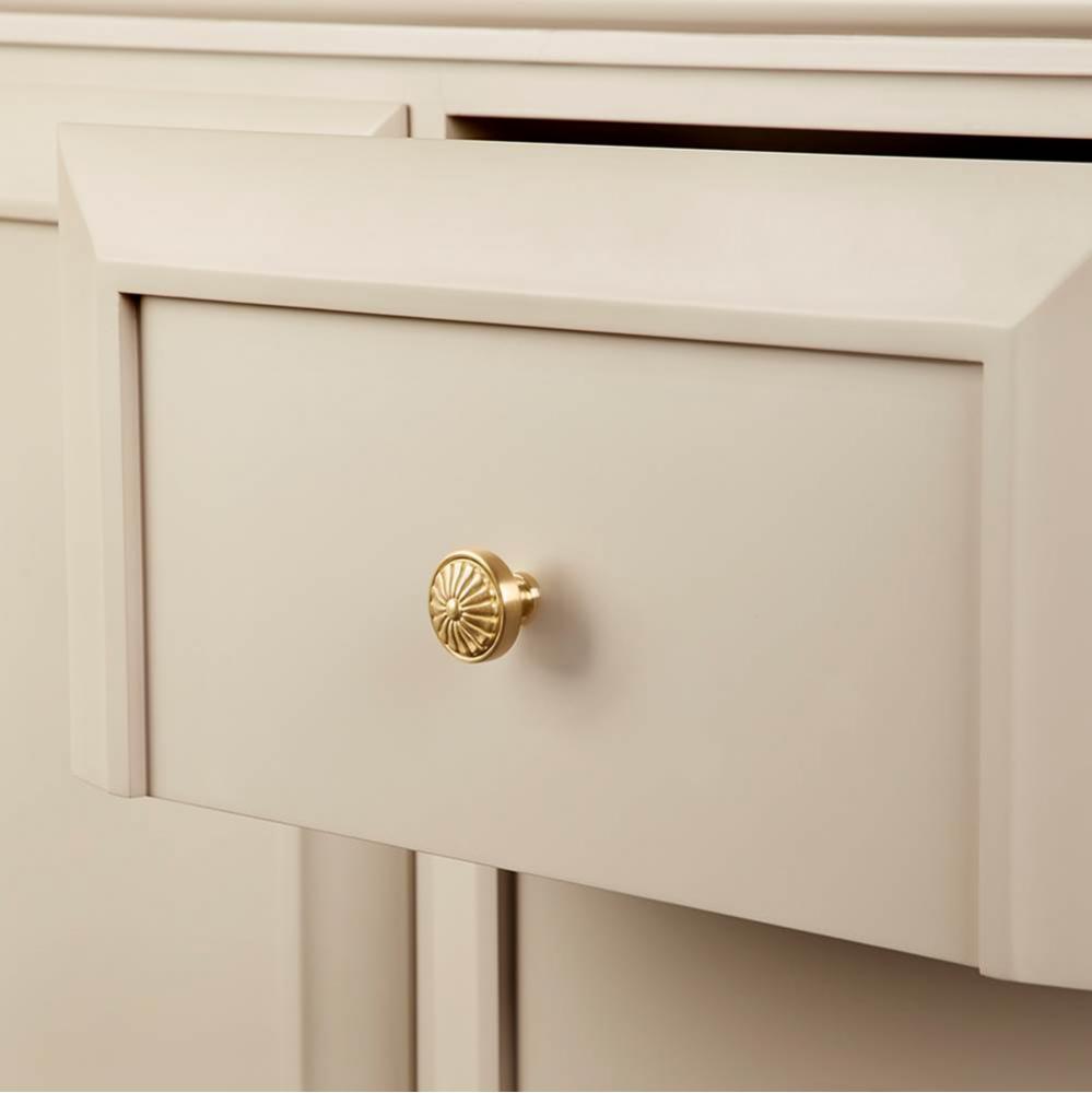 Genova Knob in Brushed Brass