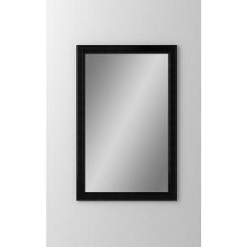 Bryn Mawr 23-1/4'' x 39-3/8'' x 4'' Framed Cabinet, Brushed Black, L