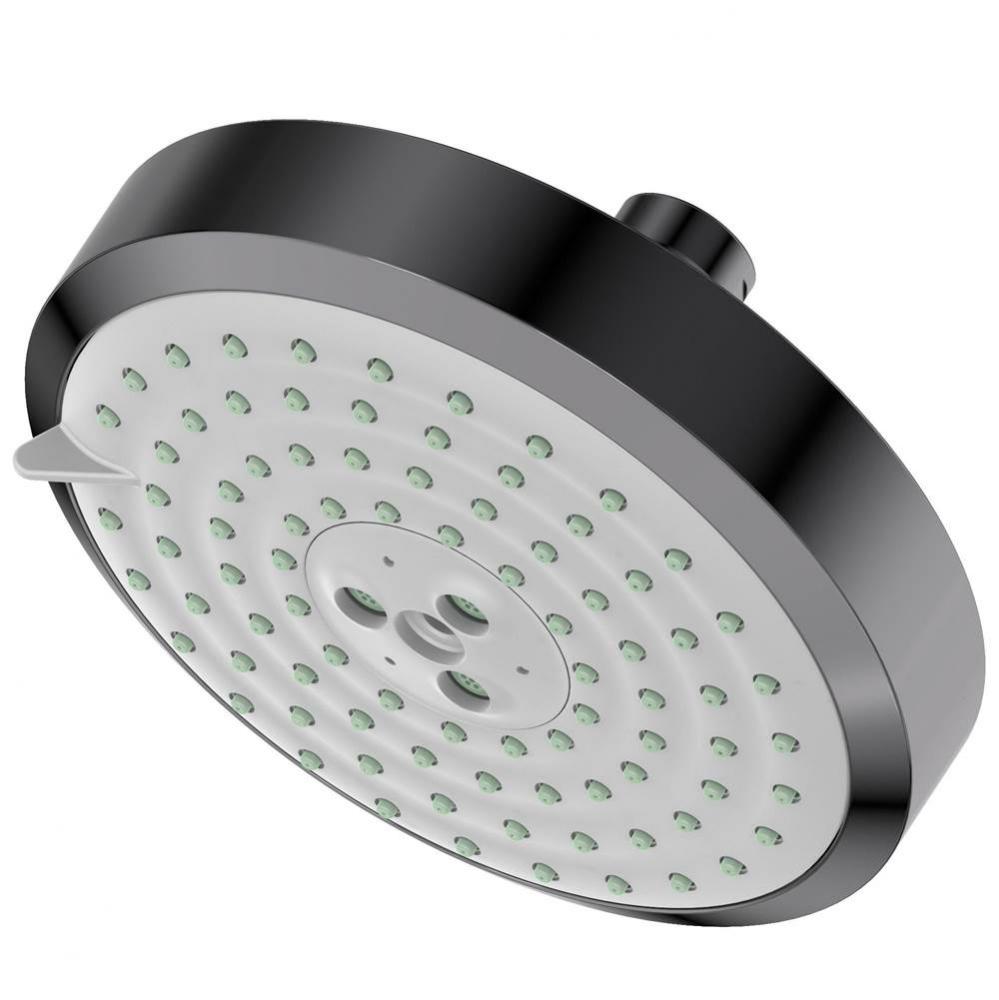 Multifunction Showerhead