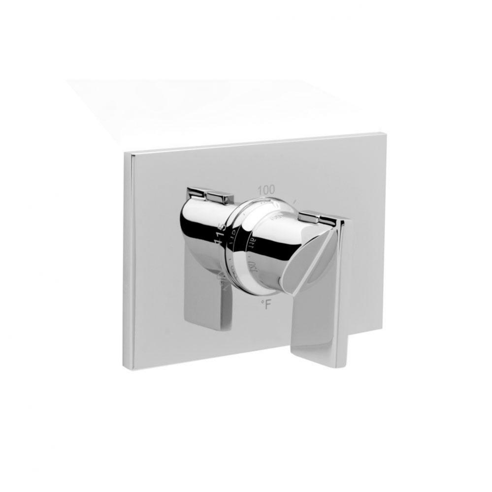 Rectangular Thermostatic Trim Plate with Handle