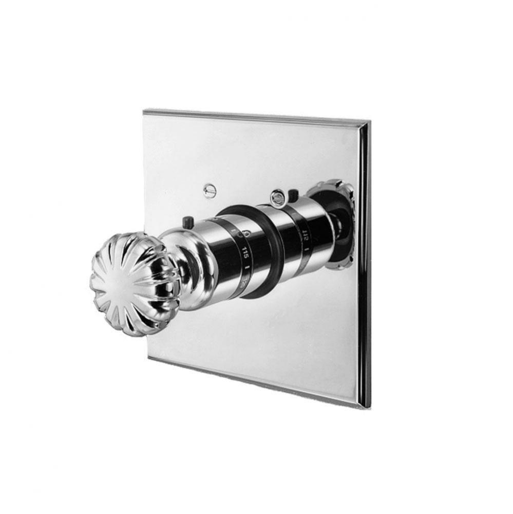 Square Thermostatic Trim Plate with Handle