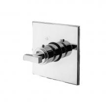 Newport Brass 3-2024TS/65 - 3/4'' Square Thermostatic Trim Plate With Handle