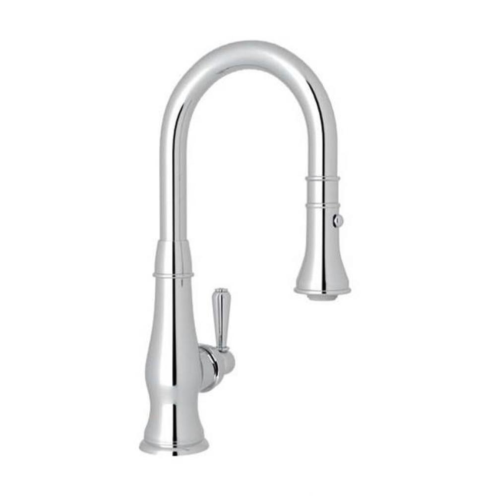 Patrizia™ Pull-Down Bar/Food Prep Kitchen Faucet