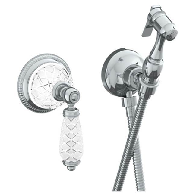 Wall Mounted Bidet Spray Set & Progressive Mixer with 49'' hose