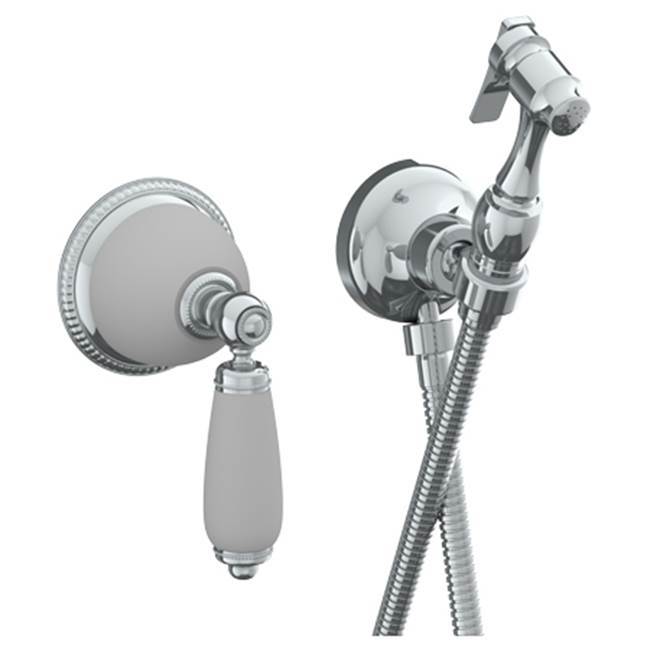 Wall Mounted Bidet Spray Set & Progressive Mixer with 49'' hose