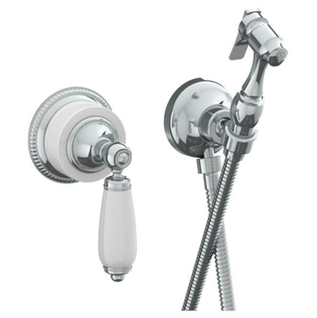 Wall Mounted Bidet Spray Set & Progressive Mixer with 49'' hose