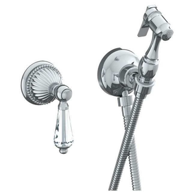 Wall Mounted Bidet Spray Set & Progressive Mixer with 49'' hose