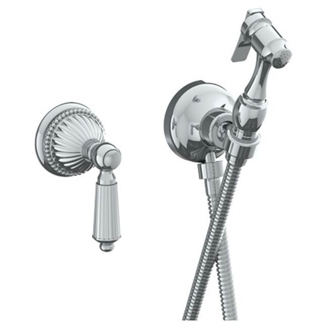 Wall Mounted Bidet Spray Set & Progressive Mixer with 49'' hose