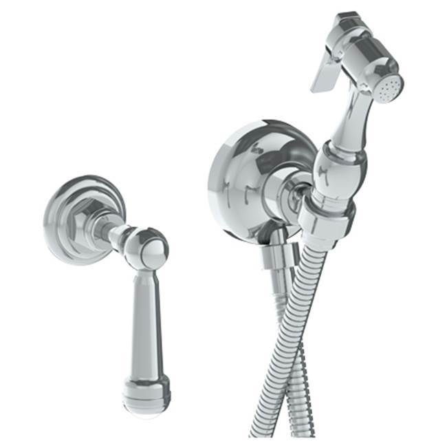 Wall Mounted Bidet Spray Set & Progressive Mixer with 49'' hose