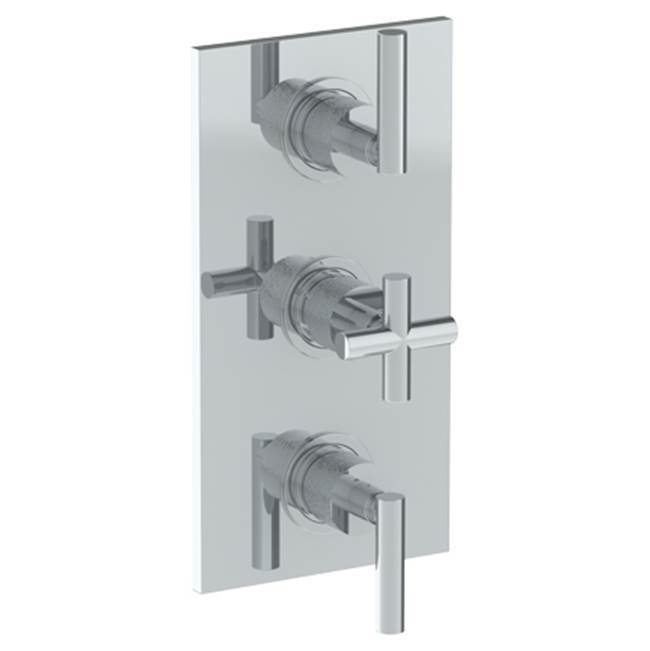 Wall Mounted Thermostatic Shower Trim with 2 built-in controls, 6 1/4'' x 12''