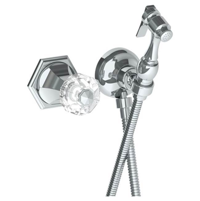 Wall Mounted Bidet Spray Set & Progressive Mixer with 49'' hose