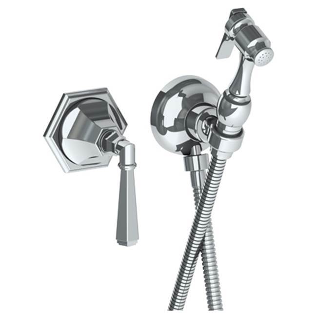 Wall Mounted Bidet Spray Set & Progressive Mixer with 49'' hose