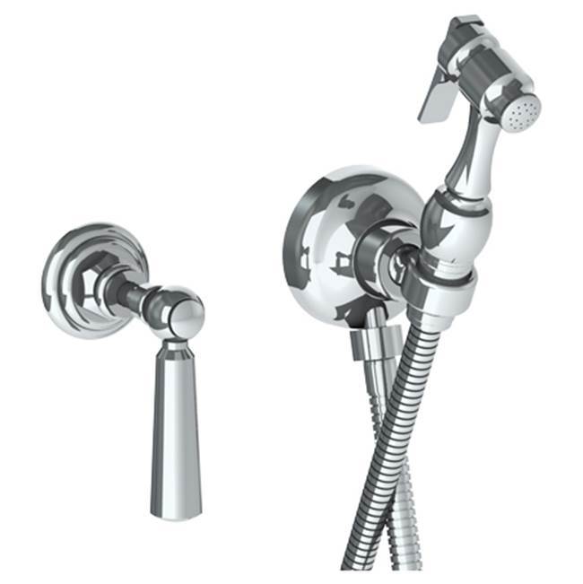 Wall Mounted Bidet Spray Set & Progressive Mixer with 49'' hose