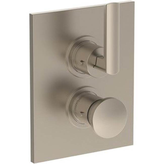 Wall Mounted Thermostatic Shower Trim with built-in control, 6 1/4'' X 8''