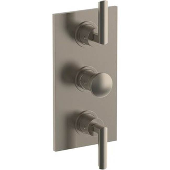 Wall Mounted Thermostatic Shower Trim with 2 built-in controls, 6 1/4'' x 12''