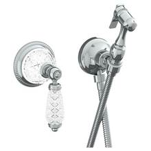 Watermark 180-4.4-AA-GP - Wall Mounted Bidet Spray Set & Progressive Mixer with 49'' hose