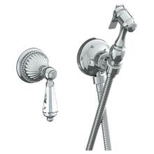 Watermark 180-4.4-SWU-GP - Wall Mounted Bidet Spray Set & Progressive Mixer with 49'' hose