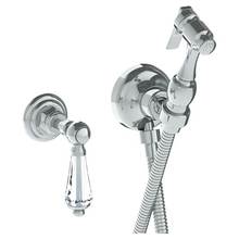 Watermark 206-4.4-SWA-GP - Wall Mounted Bidet Spray Set & Progressive Mixer with 49'' hose