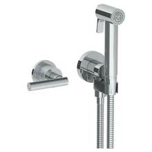 Watermark 27-4.4-CL14-WH - Wall Mounted Bidet Spray Set & Progressive Mixer with 49'' hose