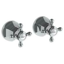 Watermark 312-WTR2-X-WH - Wall Mounted 2-Valve Shower Trim