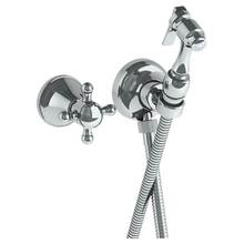 Watermark 313-4.4-AX-GP - Wall Mounted Bidet Spray Set & Progressive Mixer with 49'' hose