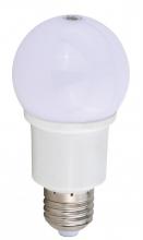 LED BULB