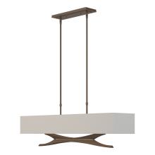 Hubbardton Forge 137655-SKT-STND-05-SJ4298 - Moreau Pendant