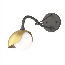 Hubbardton Forge 201376-SKT-20-86-GG0711 - Brooklyn 1-Light Single Shade Long-Arm Sconce