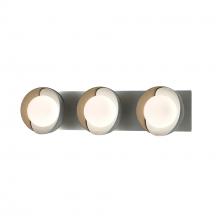 Hubbardton Forge 201378-SKT-82-84-GG0711 - Brooklyn 3-Light Straight Double Shade Bath Sconce