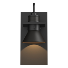 Hubbardton Forge 307716-SKT-80-14 - Erlenmeyer Dark Sky Friendly Outdoor Sconce