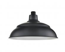  RALWHS14-SB - R Series Lighting Shade