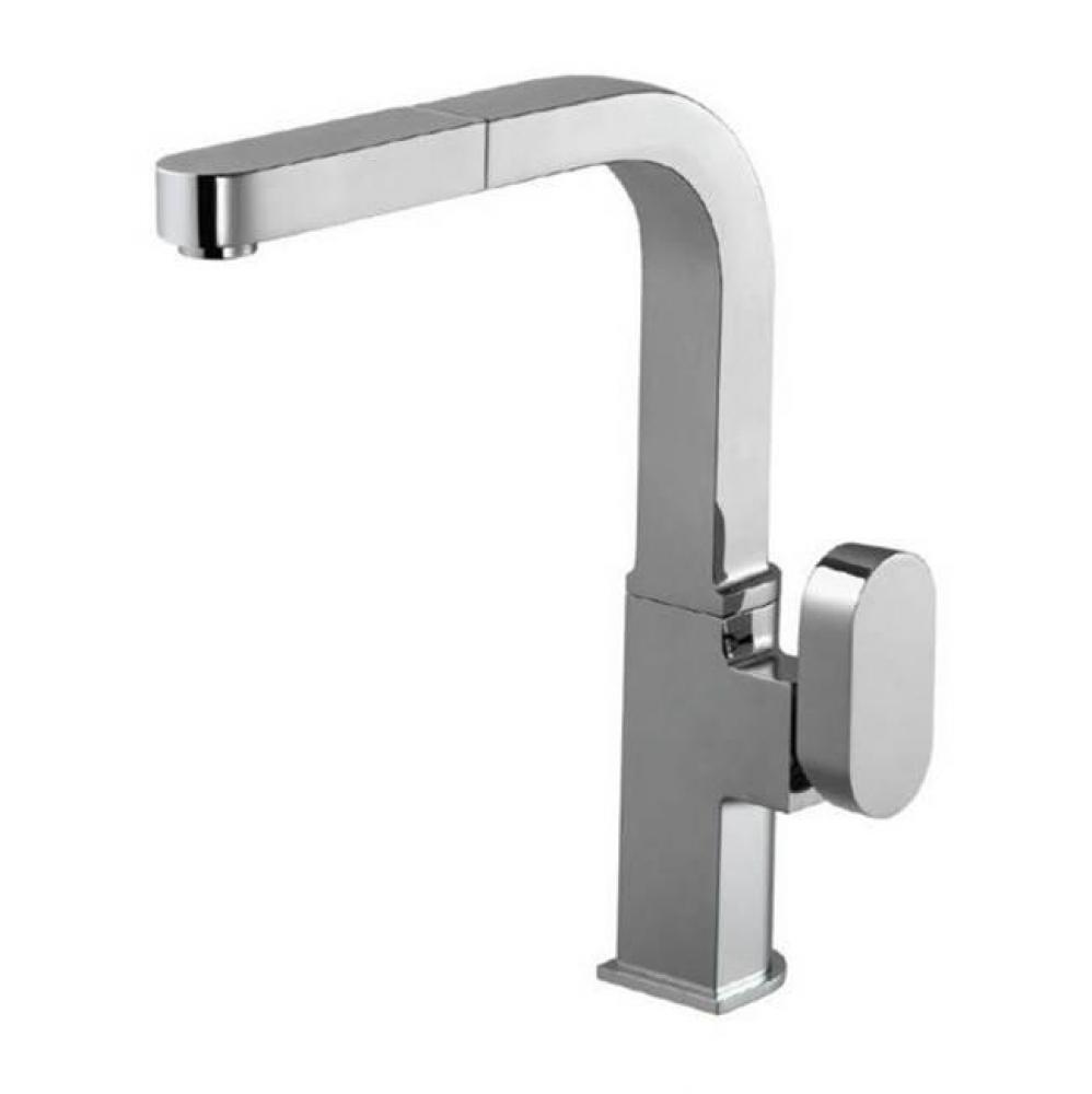 Revel Single Function Pull Out Kitchen Faucet in Polished Chrome