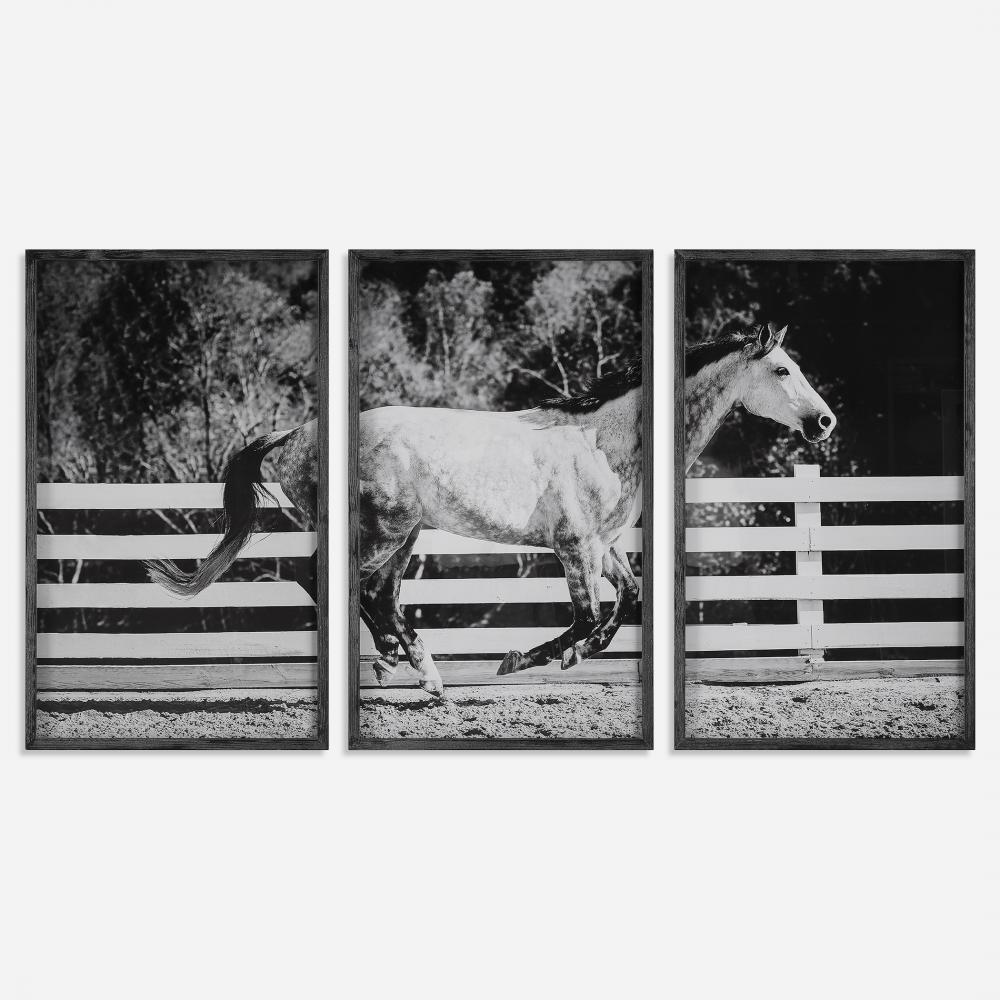 Galloping Forward Equine Prints, Set/3