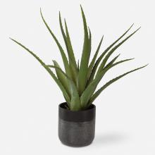 Uttermost 60204 - Tucson Aloe Planter